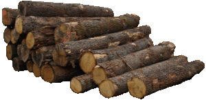 Eiche-/Eichen-Rundholz